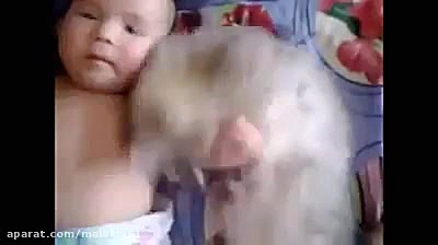 نوزاد و گربه بانمک cute cat and baby نیمار جونیور
