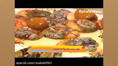 استفاده از موز توسط پلیس هند تا بچه دار شدن یک مار بوا با ۲۰ نوزاد در اصفهان فیلم جراحی فک
