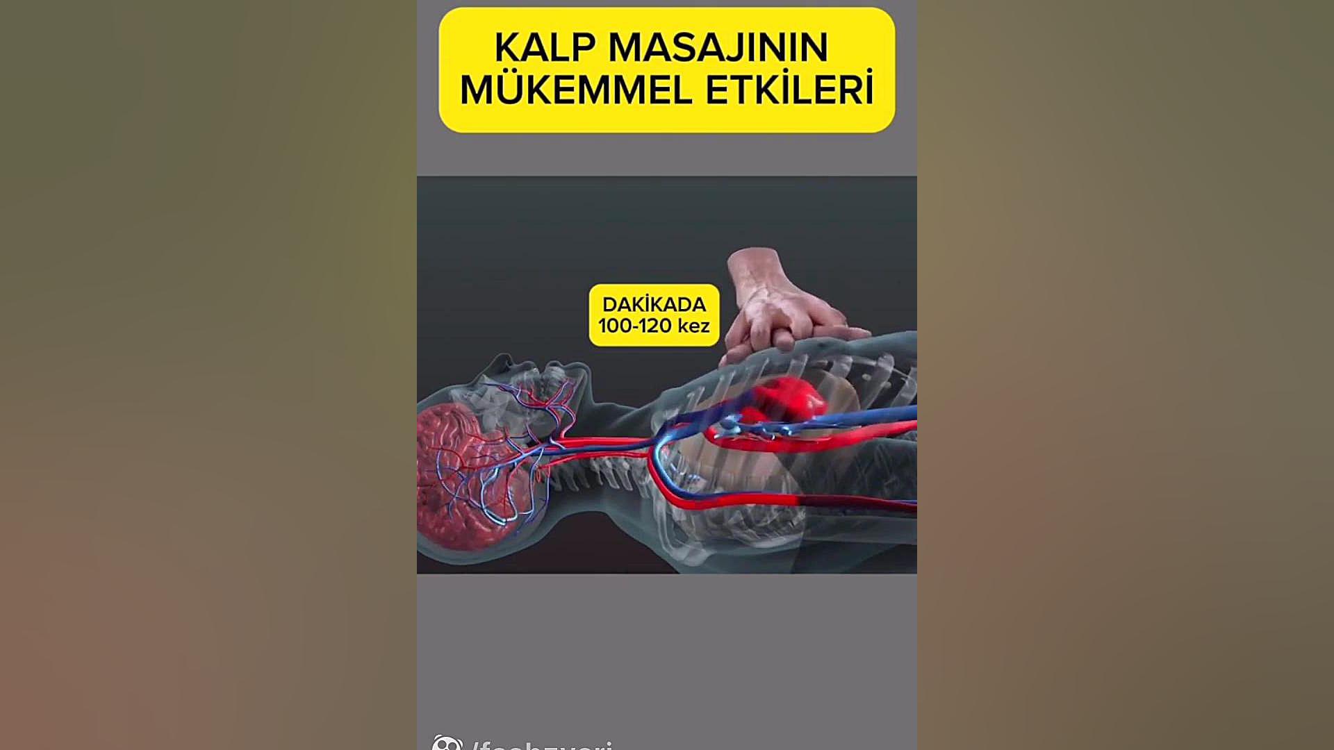 ماساژ قلب CPR جایگاه بسیار مهمی در تداوم زندگی دارد . CPR (احیای قلبی ریوی) منافذ باز پوست