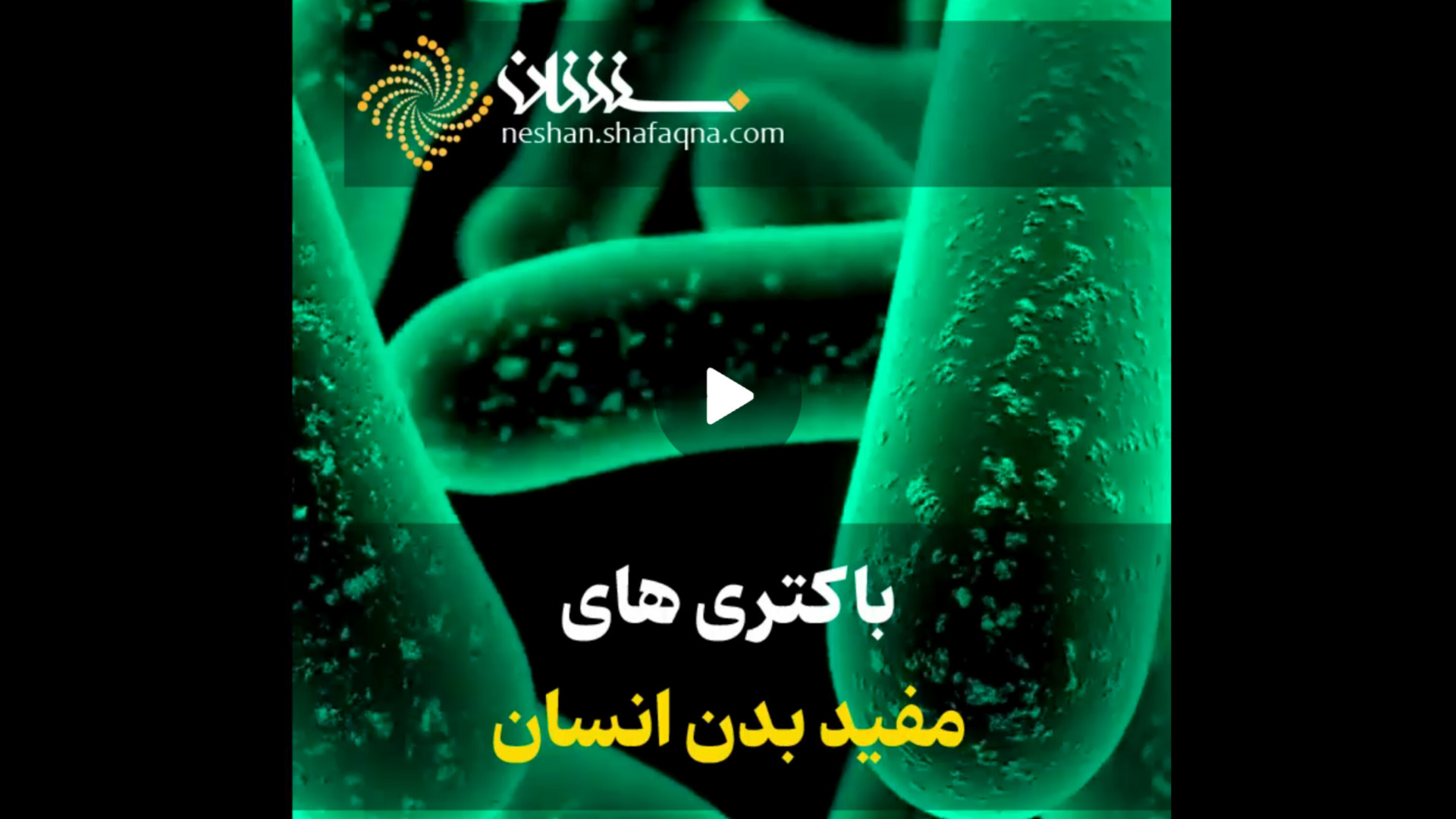 باکتری‌های مفید بدن انسان جرمگیری