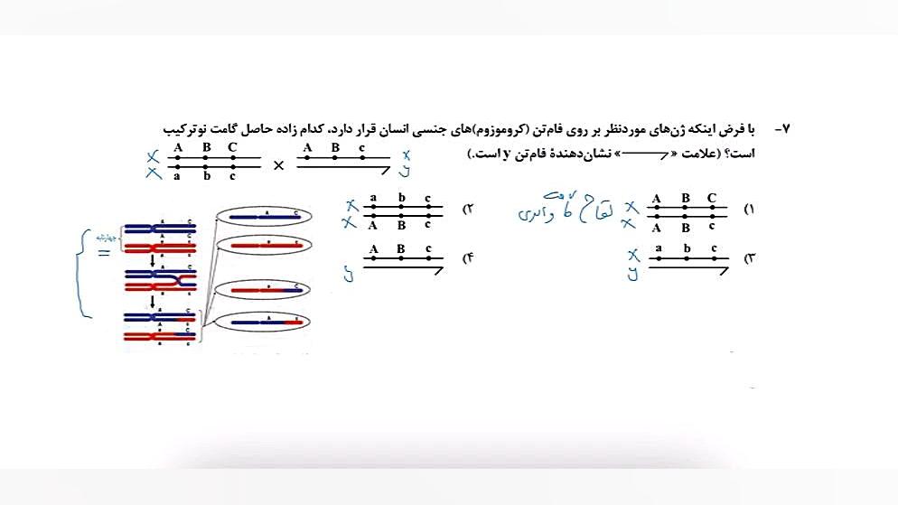 تحلیل تست «۷» کنکور زیست شناسی اردیبهشت ۱۴۰۳ اسکرین‌شات
