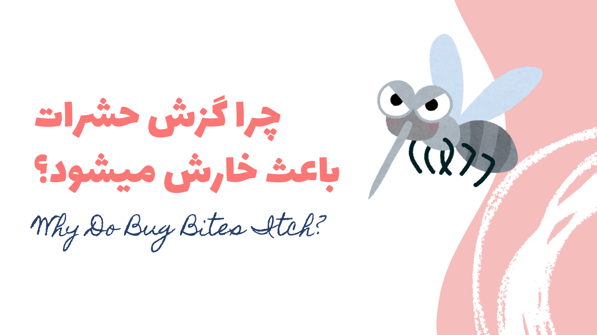 چرا گزش حشرات باعث خارش میشود؟ رفع افتادگی پلک