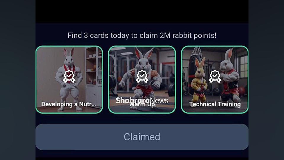 کارت , چهارشنبه , ۱۷ , مرداد , راکی , ربیت , | , Rocky , Rabbit