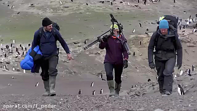 مستند سیاره زمین 2 از بی بی سی Planet Earth II زمان3511ثانیه