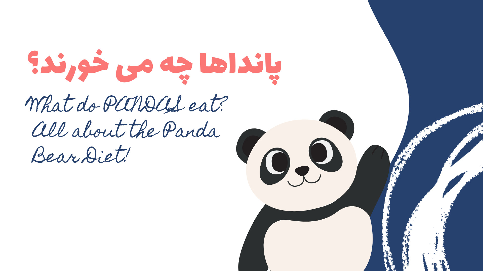 پانداها چه می خورند؟ همه چیز درباره رژیم غذایی خرس پاندا! کنه وست