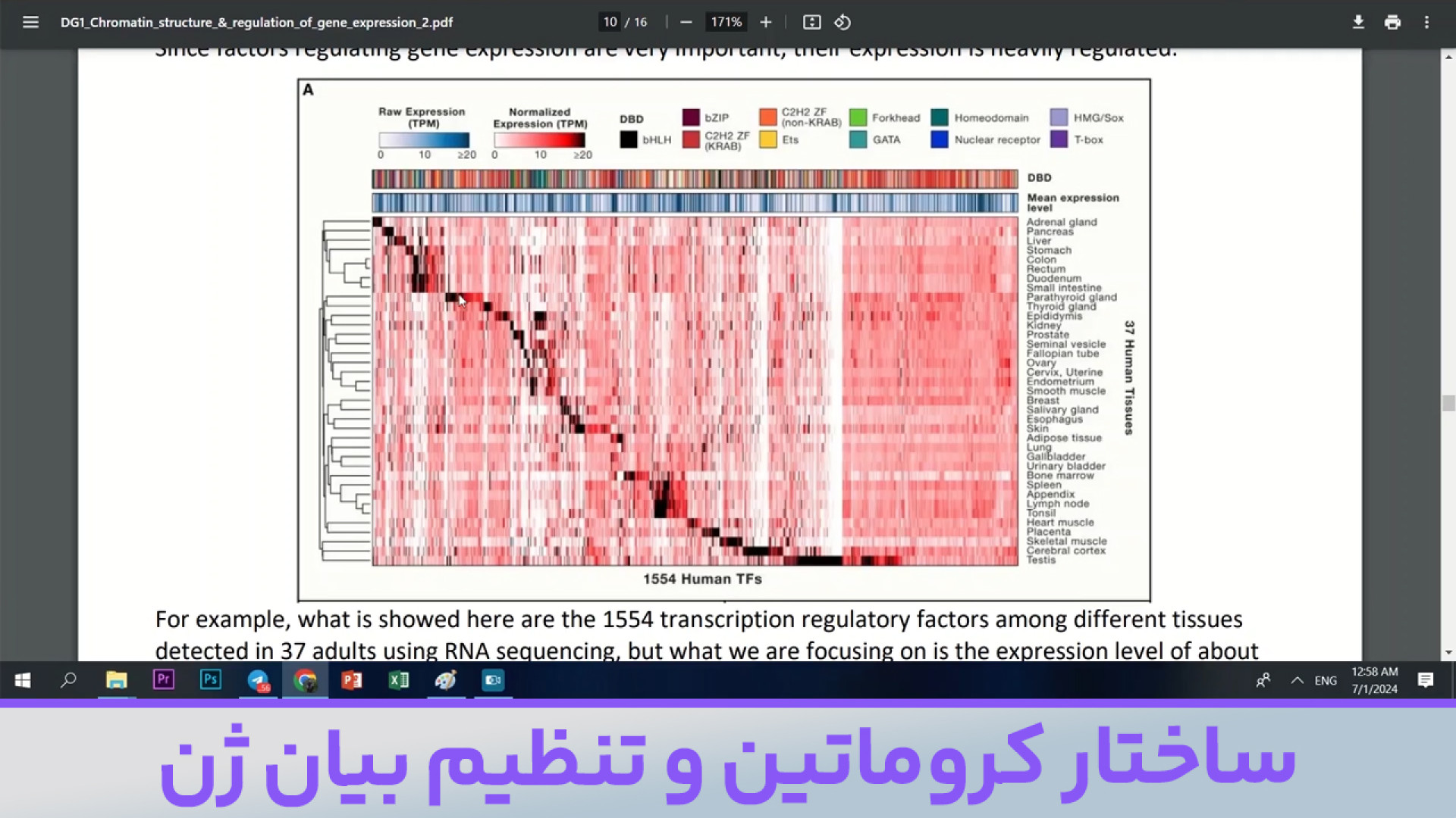 کلاس آنلاین ژنتیک - مبحث ساختار کروماتین و تنظیم بیان ژن خرس پانداویچ