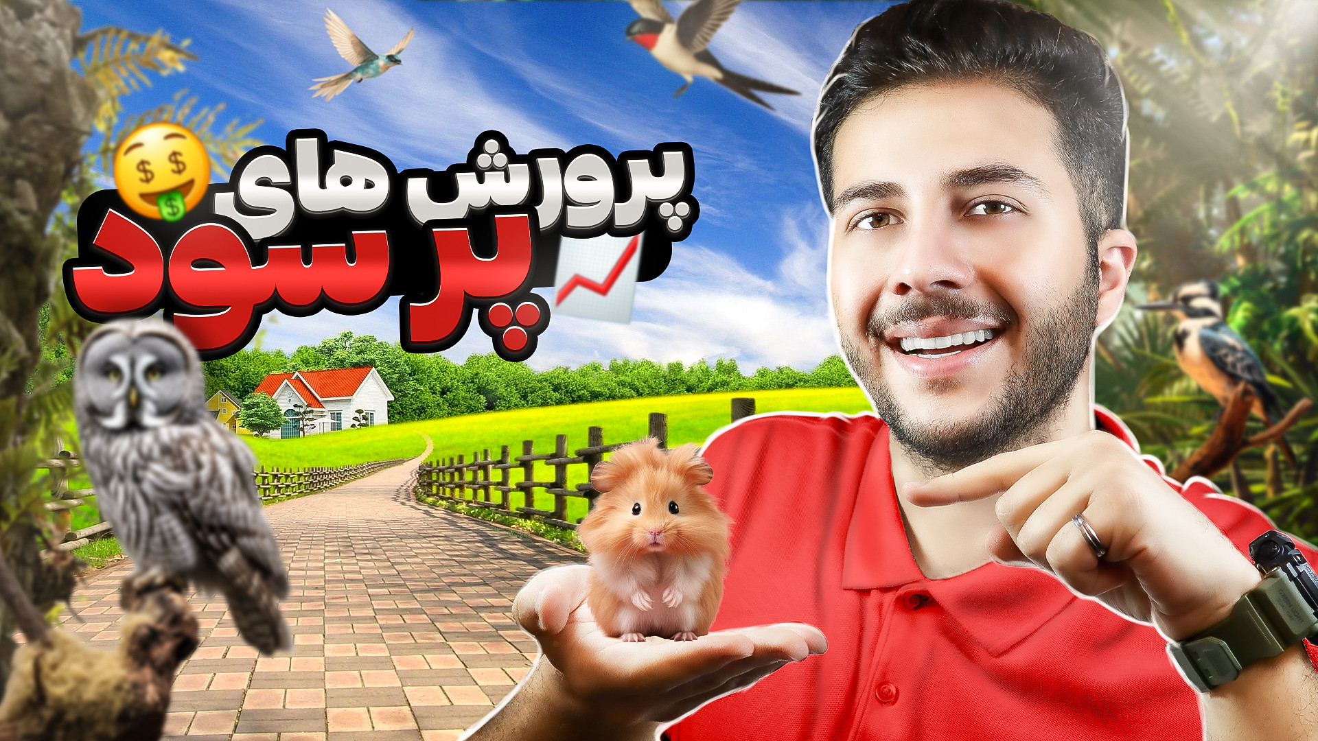 پرورش های پولساز در ایران | در کوتاه مدت سود زیاد خرگوش اینستاگرامی