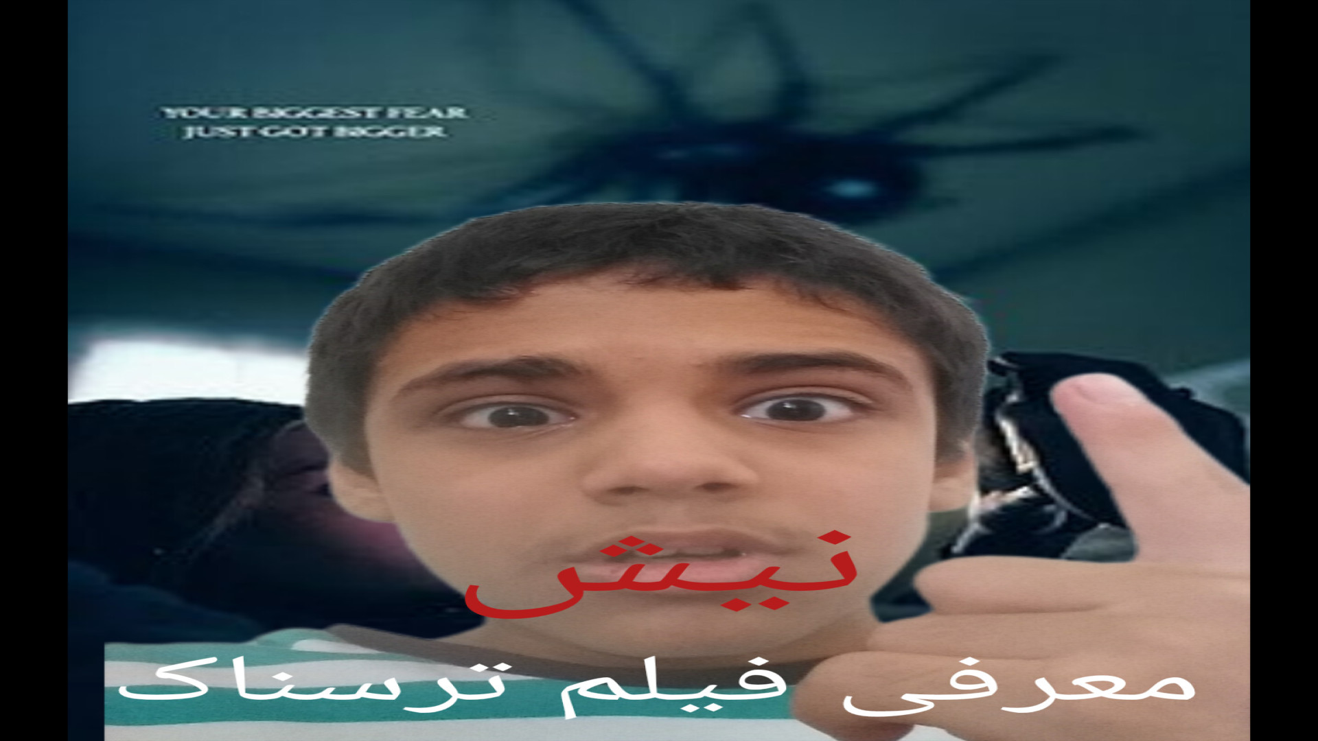 دیگه از عکس عنکبوت هم میترسم !!! معرفی فیلم ترسناک نیش ( STING ) زمان706ثانیه