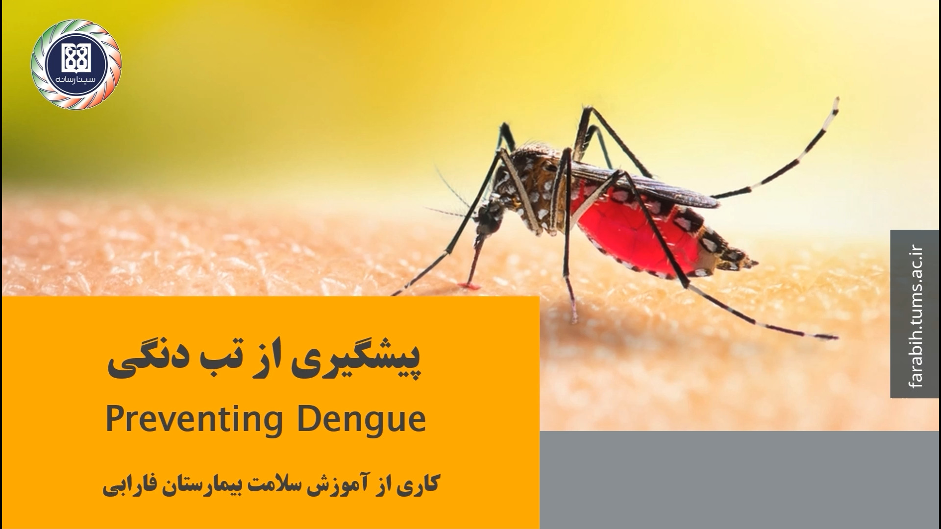 پیشگیری از تب دنگی زاویه سازی صورت