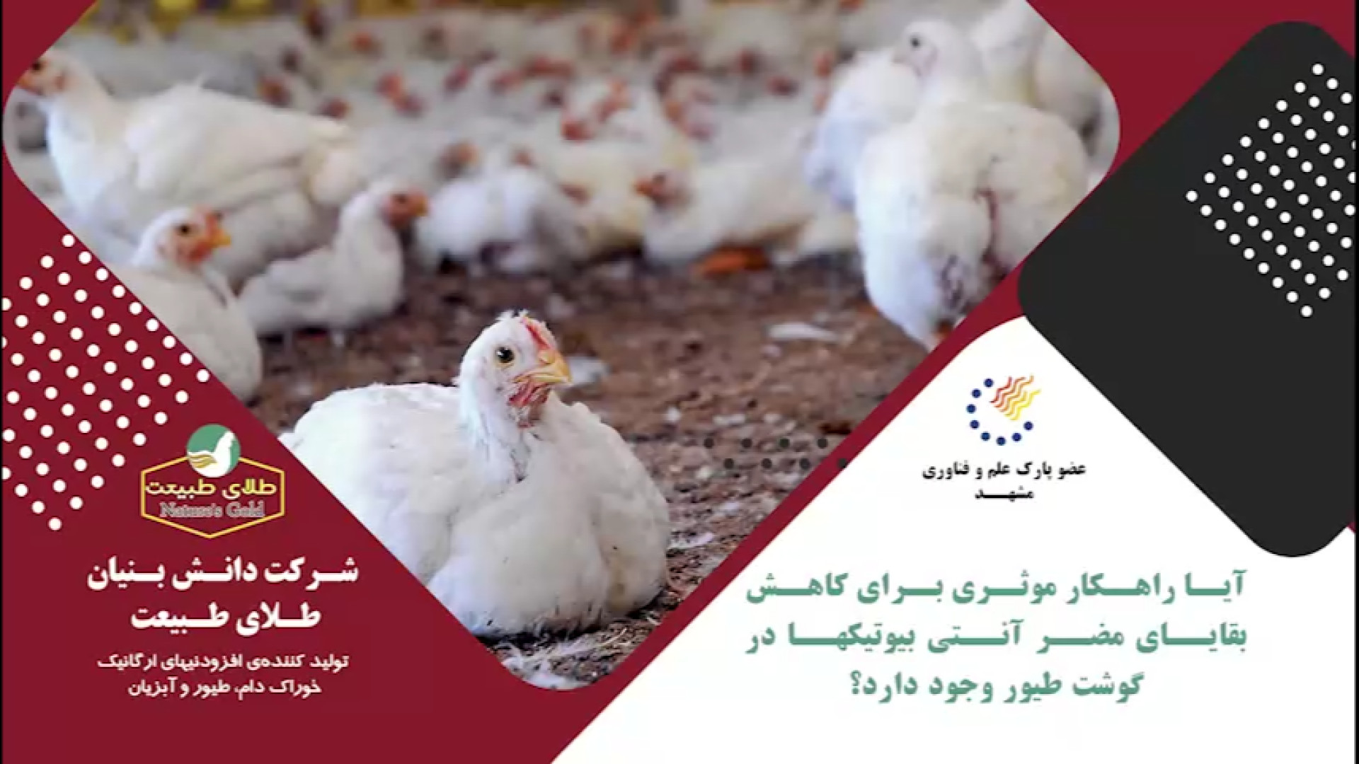 راه های کاهش عوارض آنتی بیوتیک ها درمان سلولیت