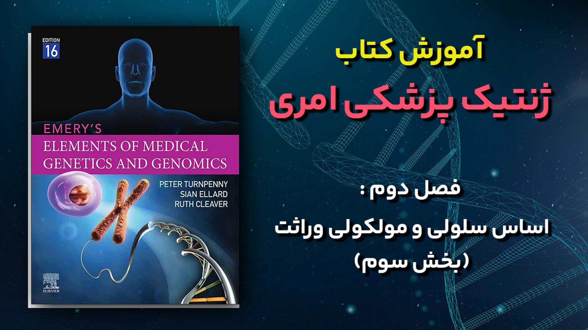 آموزش کتاب ژنتیک پزشکی امری - فصل 2 : اساس سلولی و مولکولی وراثت - قسمت سوم جولیا رابرتس