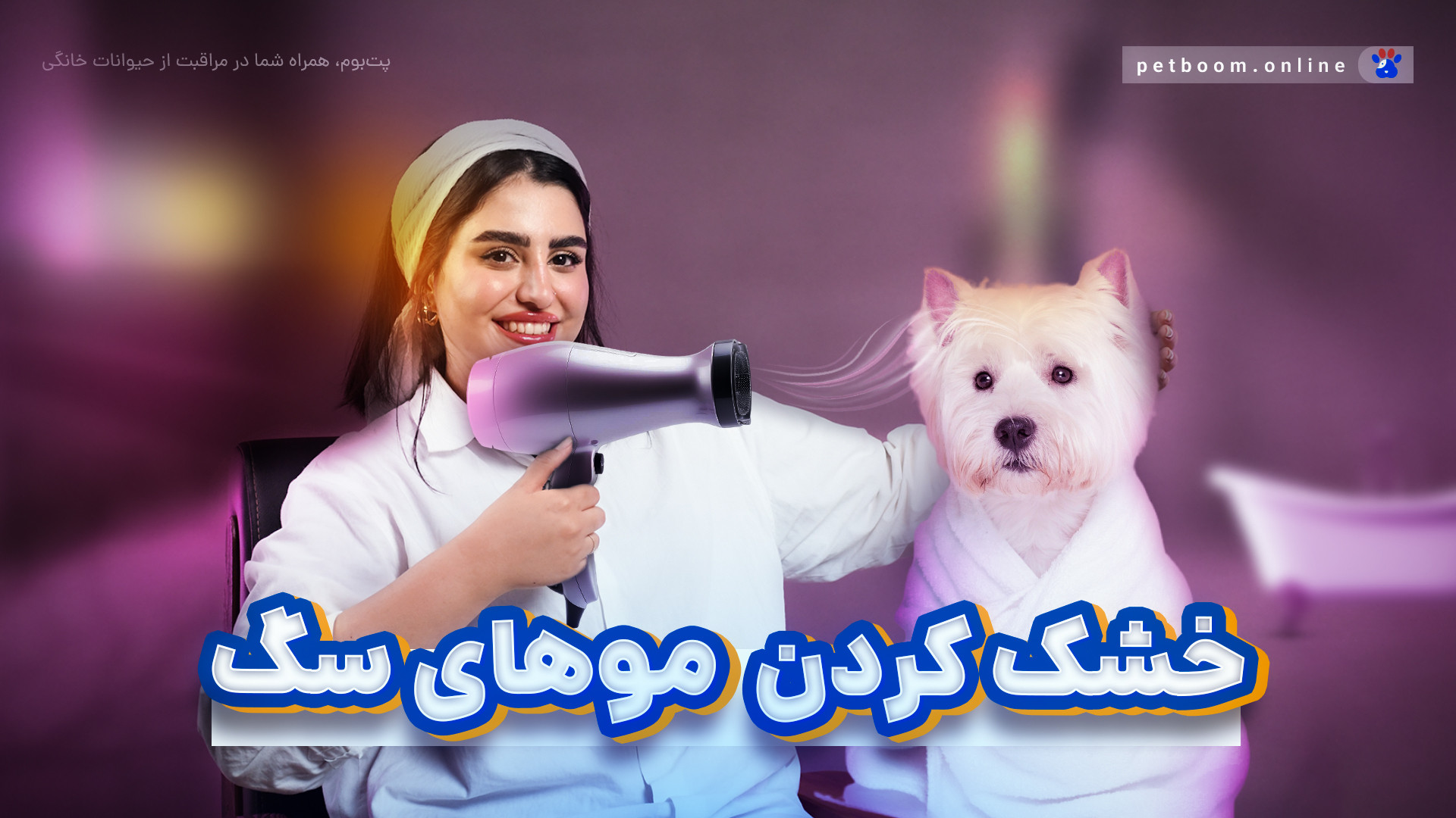 سگ خود را مثل یک حرفه‌ای خشک کنید.(نکات و ترفندهای طلایی) روکش دندان