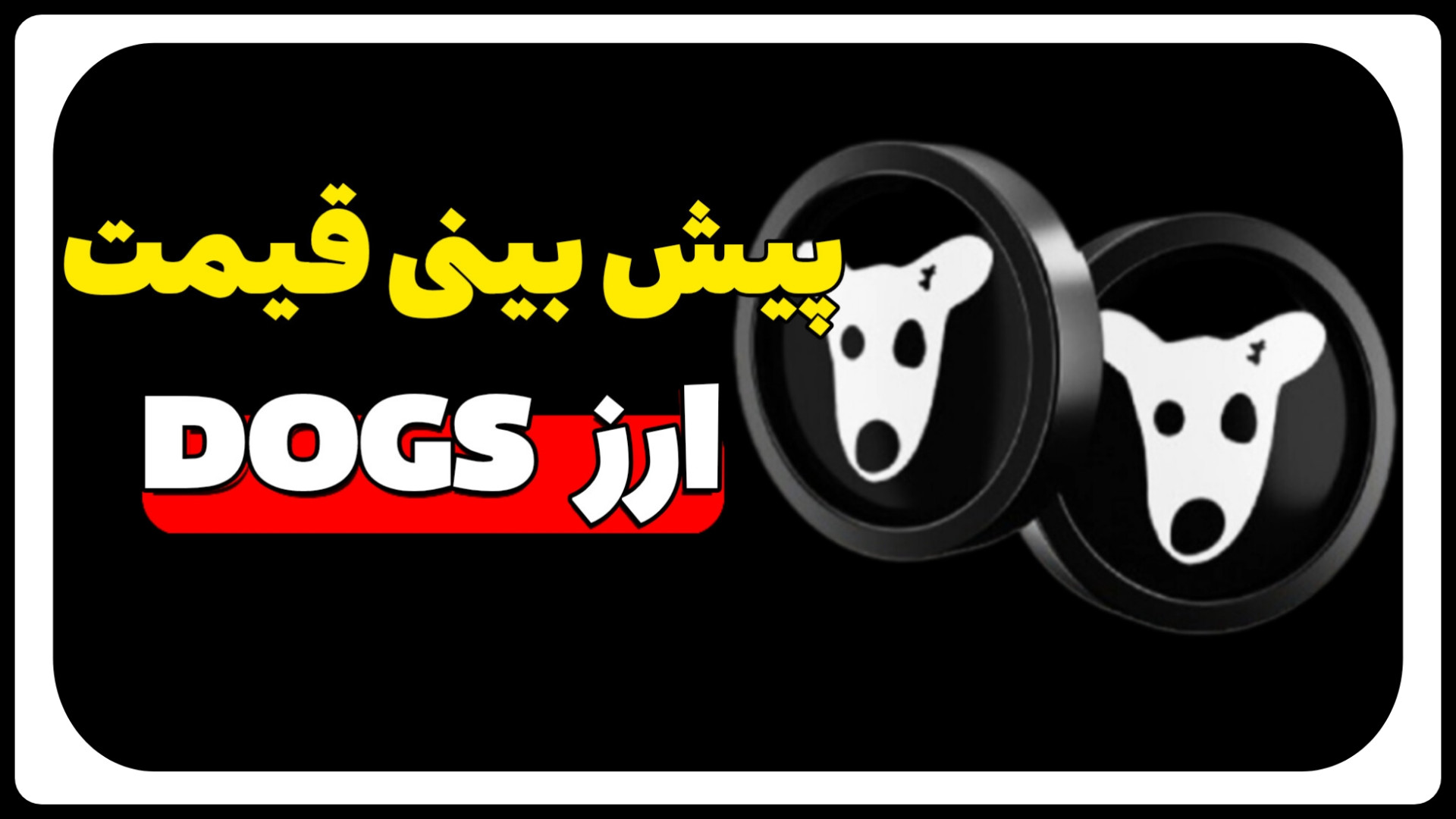 بینی , قیمت , واحد , ارز , DOGS , توجه , تعداد , واحدهایی , داخل , ربات , بهتون , نمایش , میده , تونین , حساب , کنین , چقدر , ایردراپ , عاید , تون