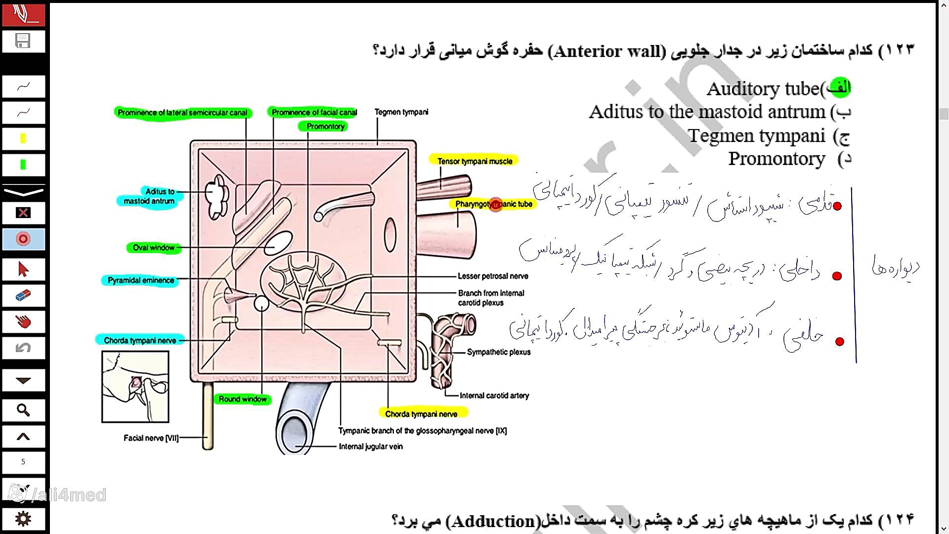 تحلیل سوالات آناتومی علوم پایه 1402 پزشکی و دندان پزشکی زمان7291ثانیه
