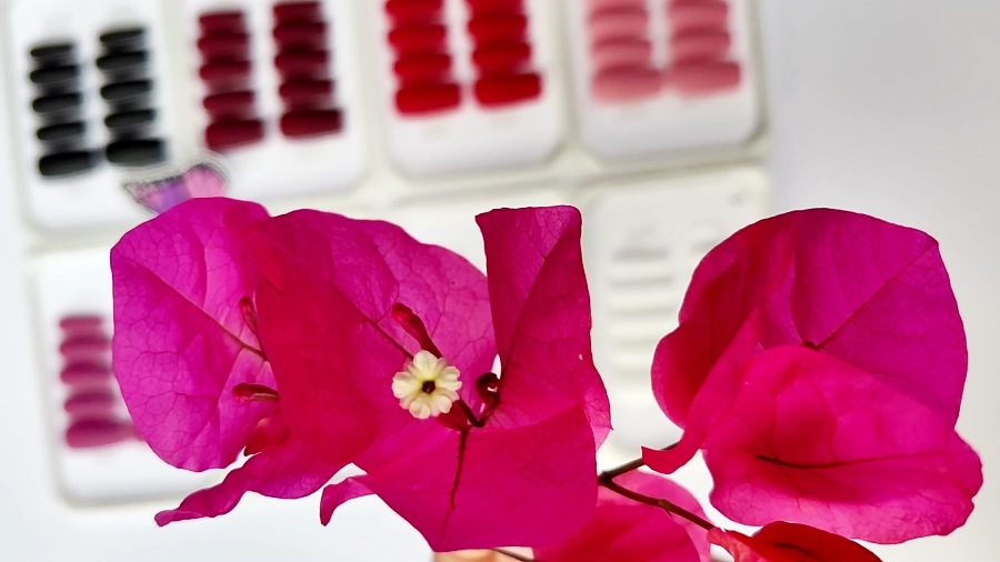 ناخن مصنوعی های ساده و رنگی و اقتصادی و ارزان راسا