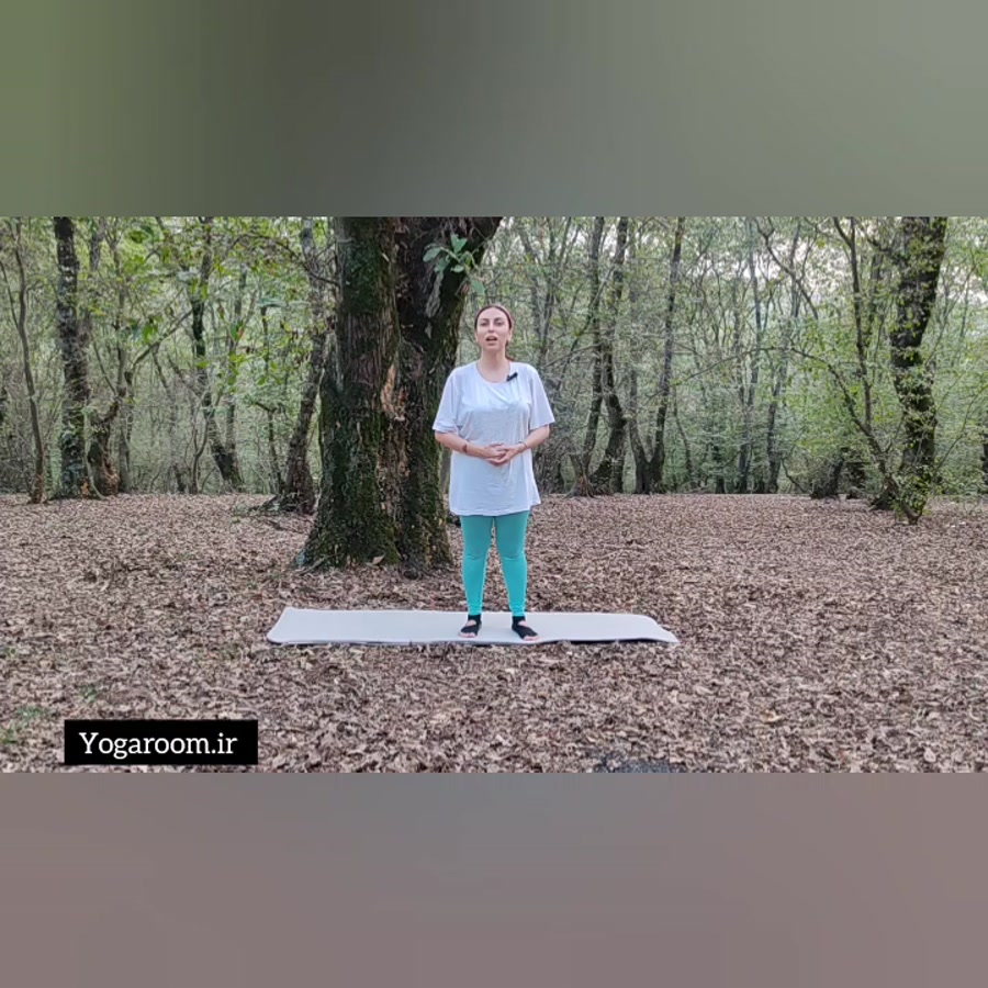 یوگا در طبیعت   مدیتیشن فلوت سرخپوستی