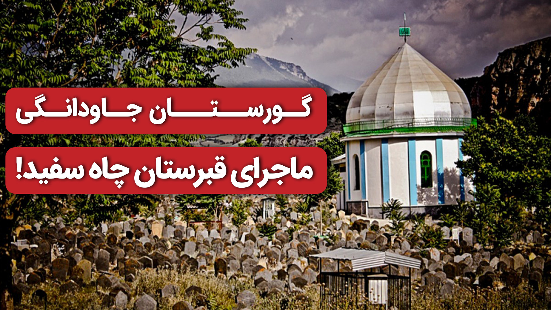 پوستر کوچک