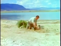 به دام انداختن شاهین با روش ها...