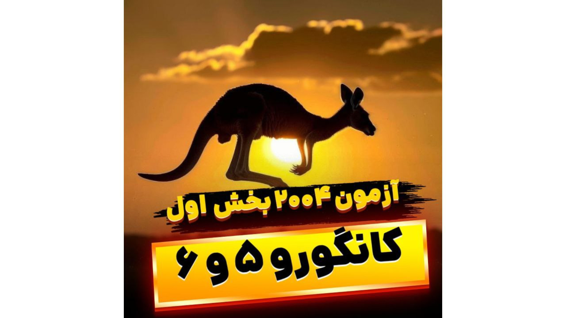 آزمون سال 2004 کانگورو 5 و 6 بخش اول بیماری کیانسروماتوز صفاقی