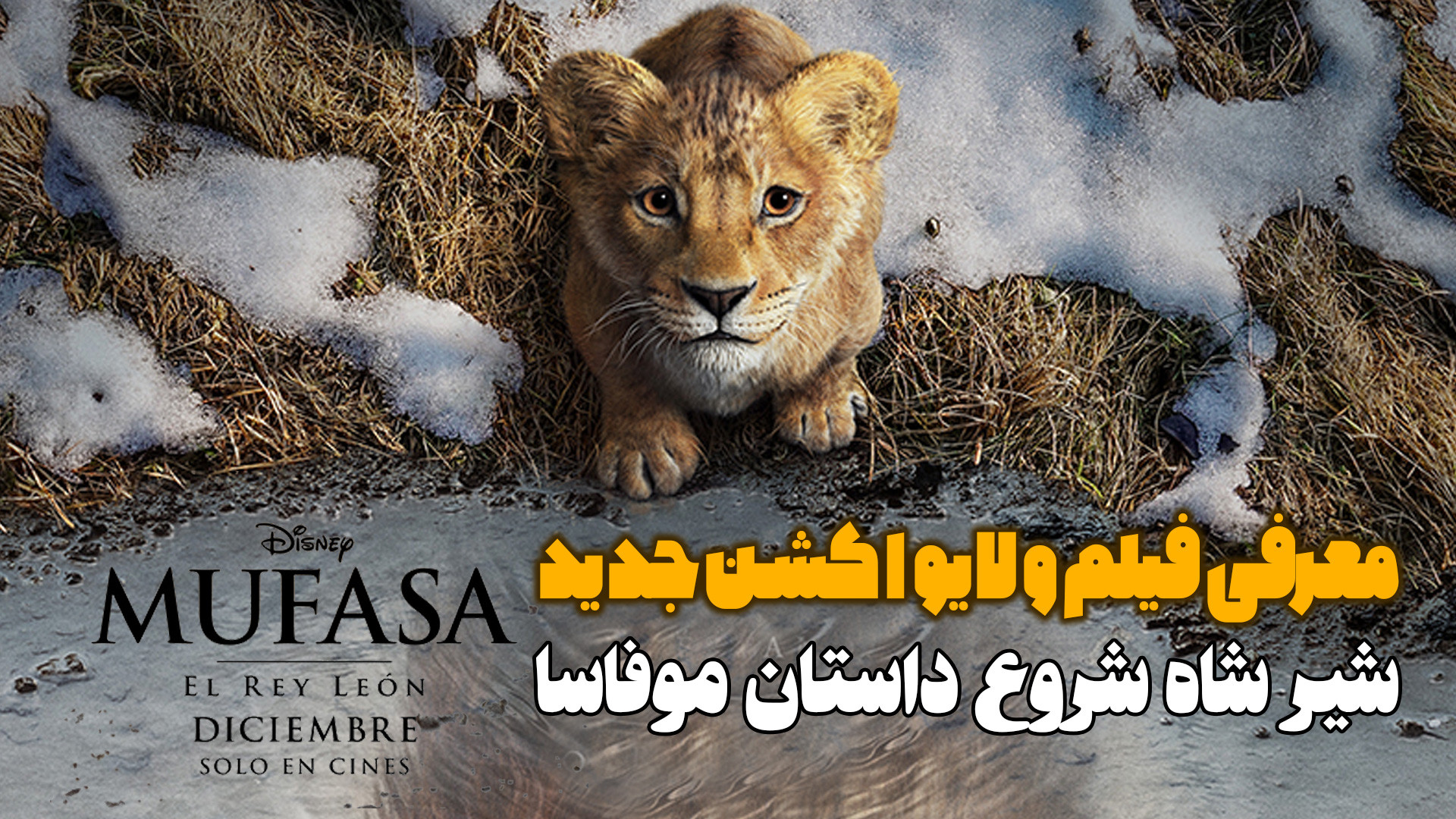 معرفی فیلم جدید شیر شاه شروع داستان موفاسا Mufasa: The Lion King زمان66ثانیه