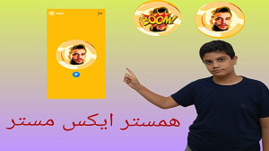 همستر , ایکس , مستر