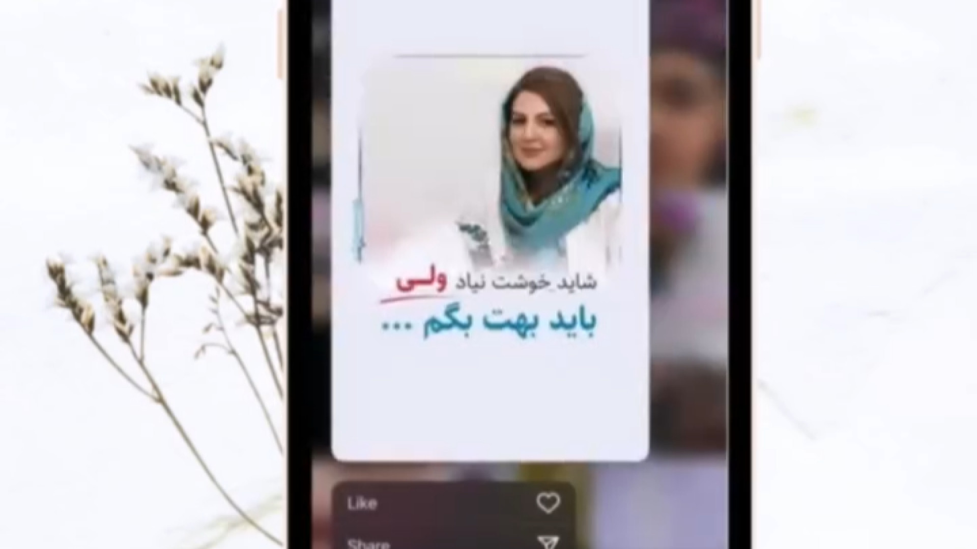مطب دکتر سارا لطفی دکتر سار ا لطفی