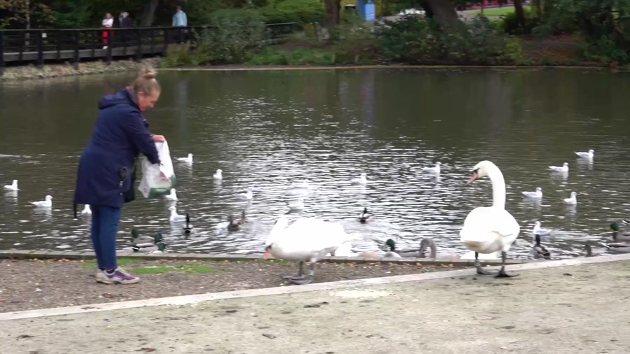 همراهی با طبیعت