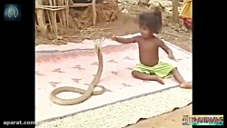 Indian Kids Playing with KING...