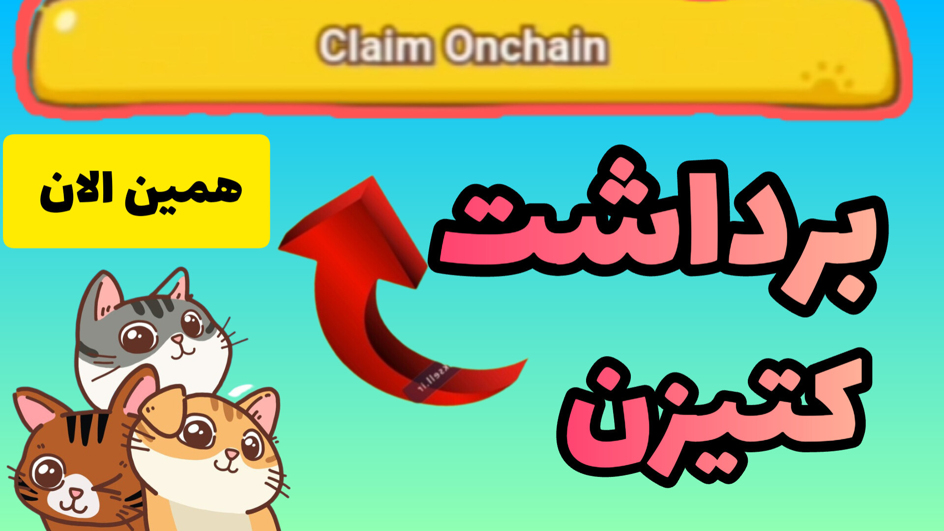 آموزش , کامل , برداشت , ربات , کتیزن , لینک , کانال , تلگرام , https: , dueuuejeej
