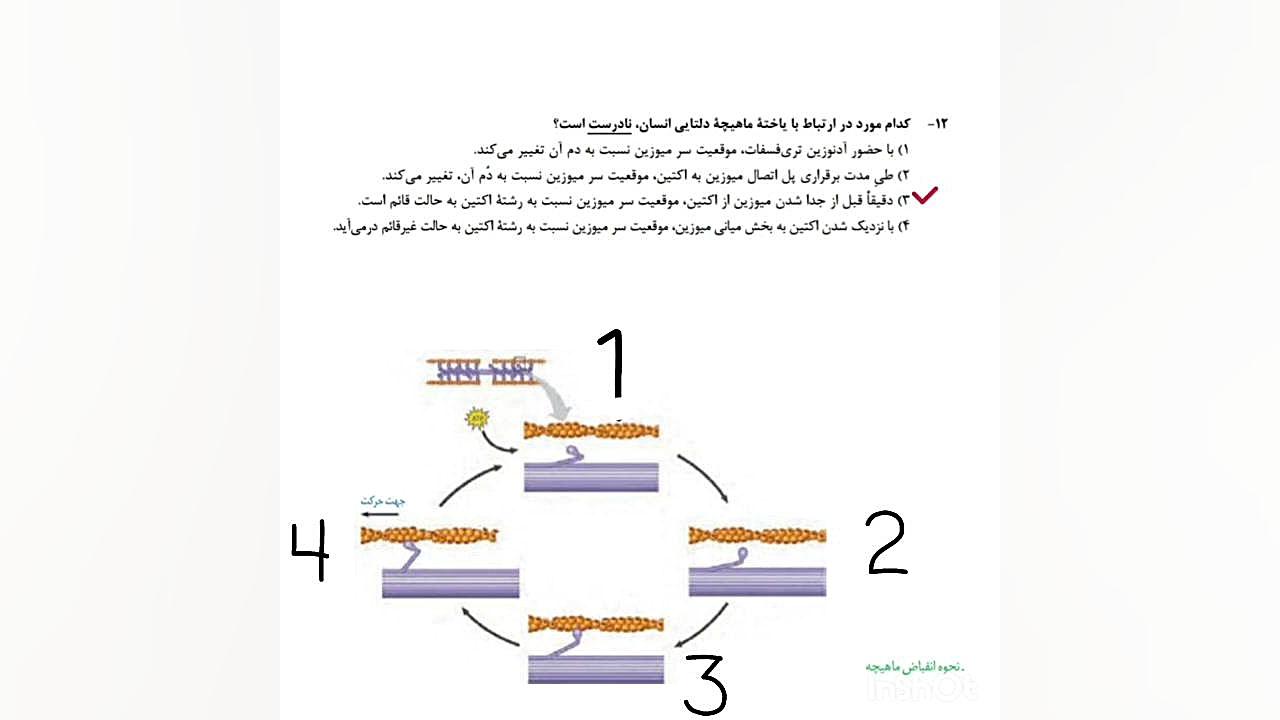 تحلیل تست «۱۲» کنکور زیست شناسی اردیبهشت ۱۴۰۳ بلیچینگ دندان
