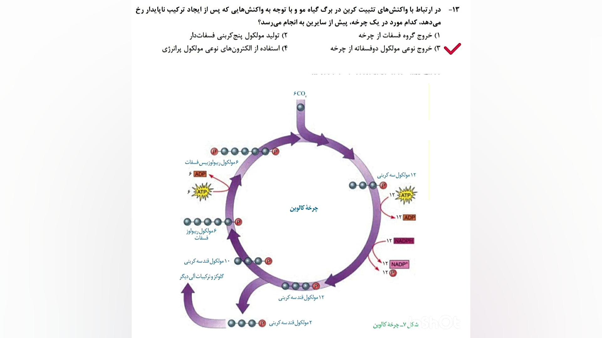 تحلیل تست «۱۳» کنکور زیست شناسی اردیبهشت ۱۴۰۳ آزمایش شمارش رتیکولوسیت