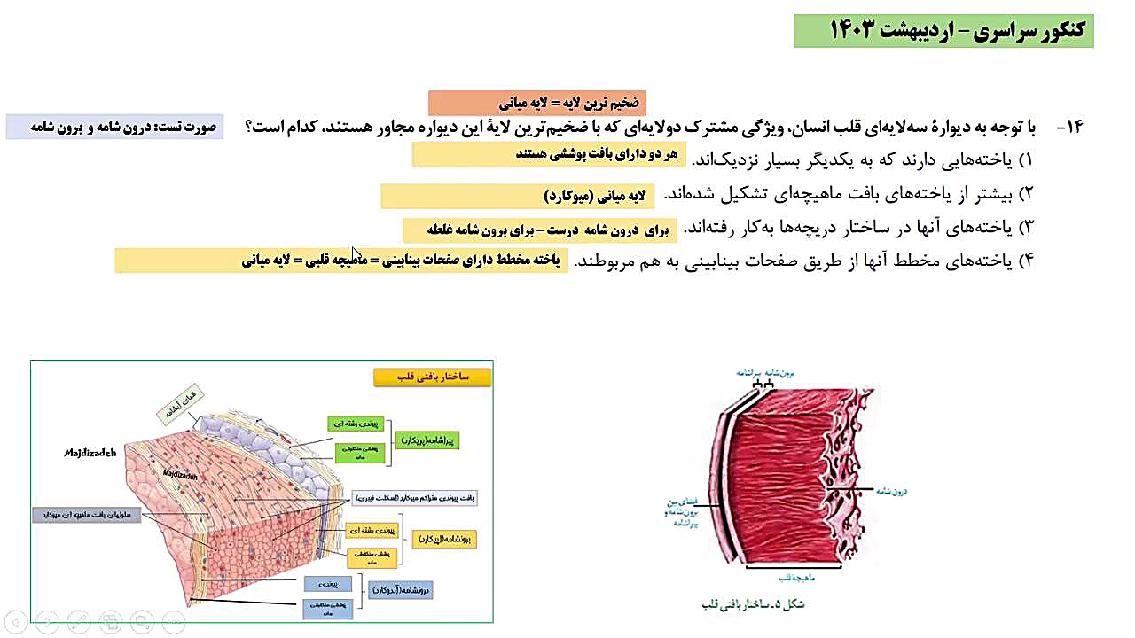 تحلیل تست «۱۴» کنکور زیست شناسی اردیبهشت ۱۴۰۳ اندودنتیکس