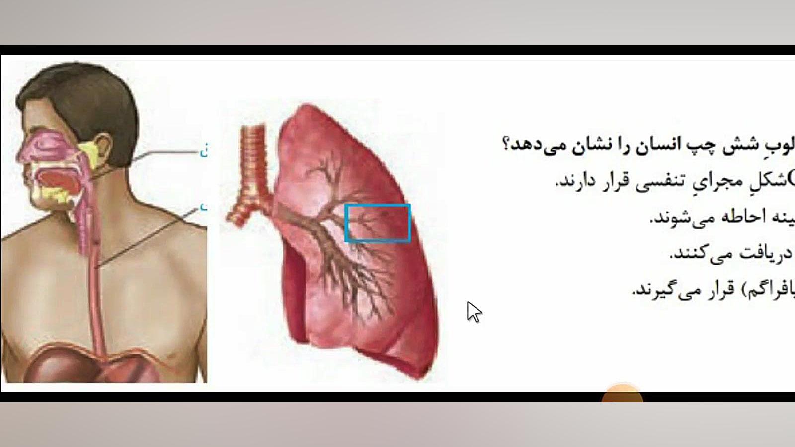 تحلیل تست «۲۲» کنکور زیست شناسی اردیبهشت ۱۴۰۳ مریم سعادت