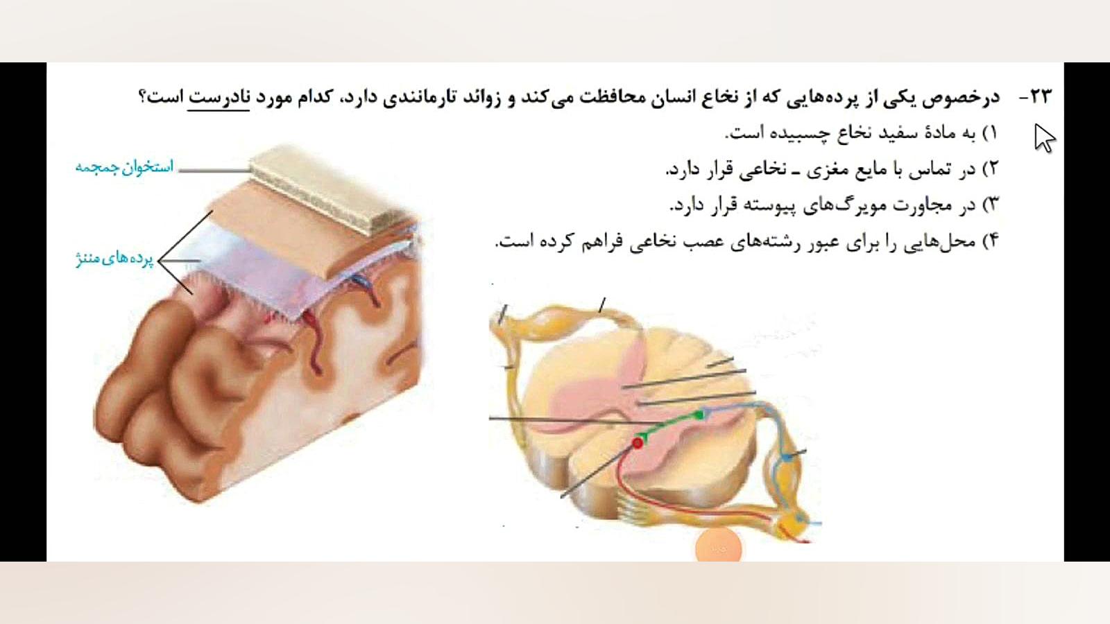 تحلیل تست «۲۳» کنکور زیست شناسی اردیبهشت ۱۴۰۳ جاستین بیبر