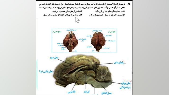 تحلیل تست «۳۵» کنکور زیست شناسی اردیبهشت ۱۴۰۳ جرمگیری