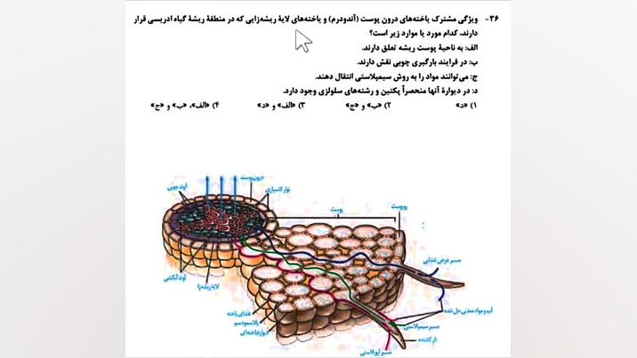 تحلیل تست «۳۶» کنکور زیست شناسی اردیبهشت ۱۴۰۳ بیماری آمیلوئیدوز فامیلیال