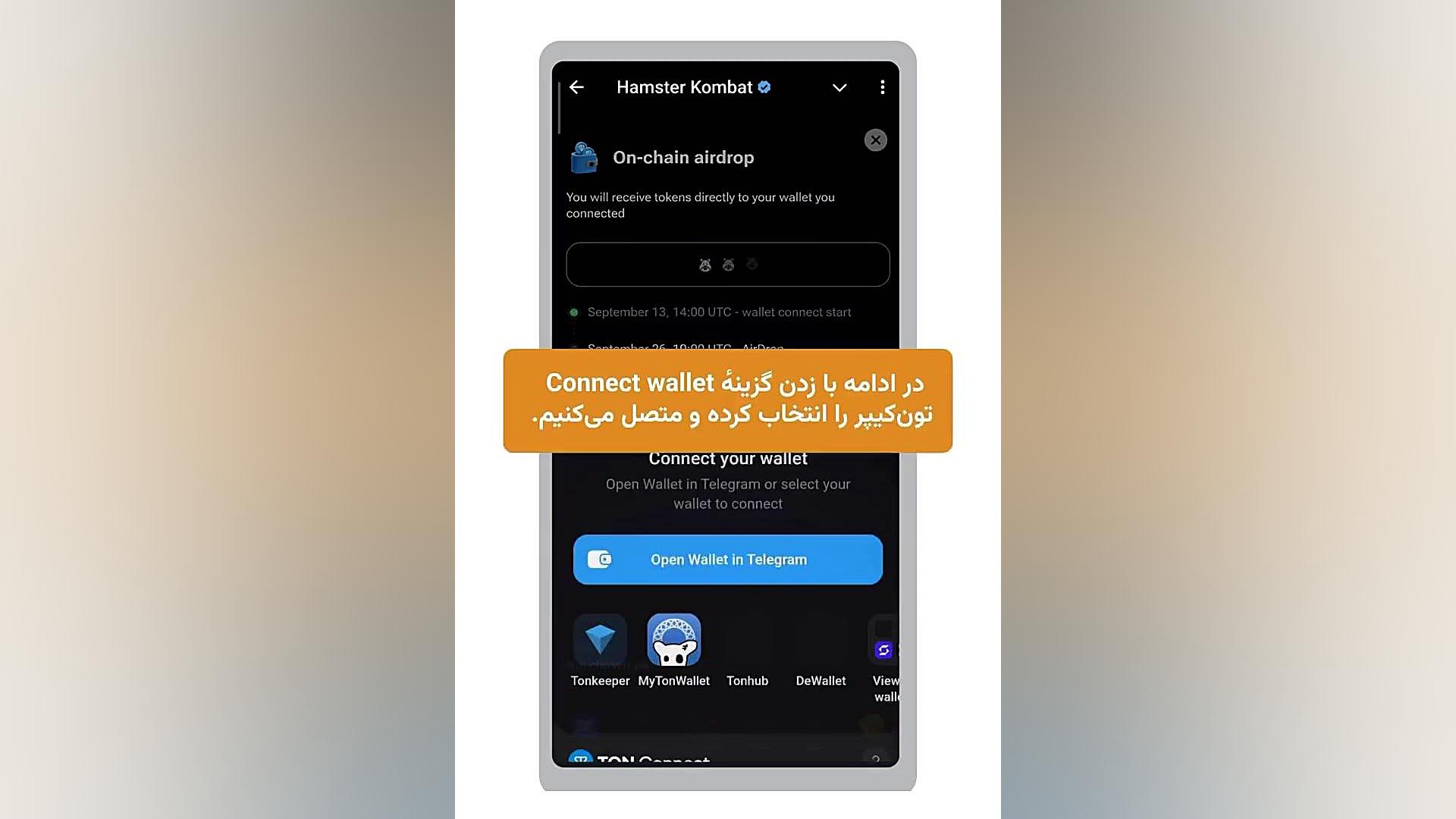 آموزش , وارد , همستر , صرافی