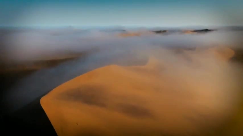 مسلمانان جهان باید با هم منسجم باشند