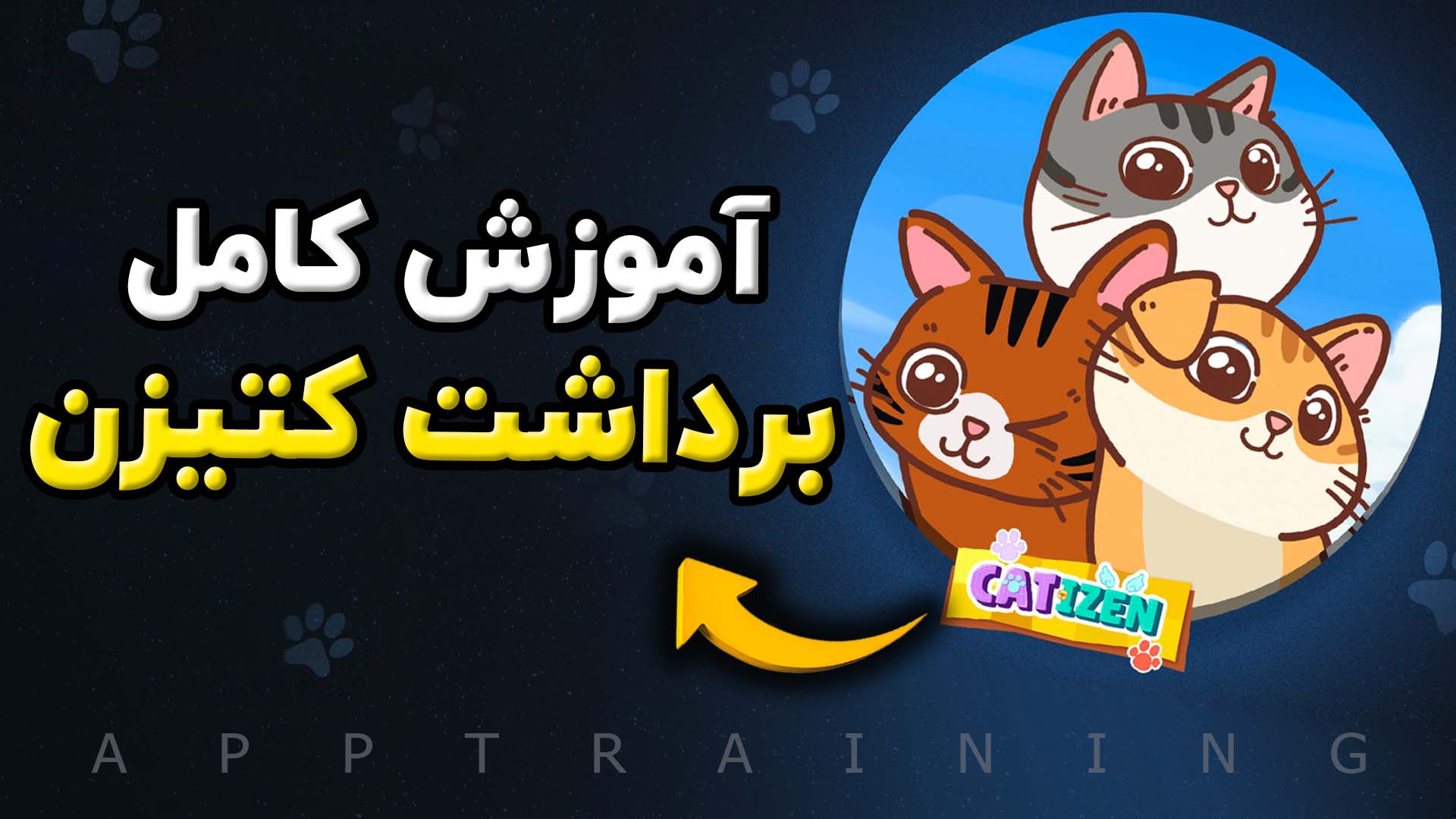 آموزش کامل برداشت کتیزن | برداشت ارز CATI و واریز به کیف پول تون کیپر