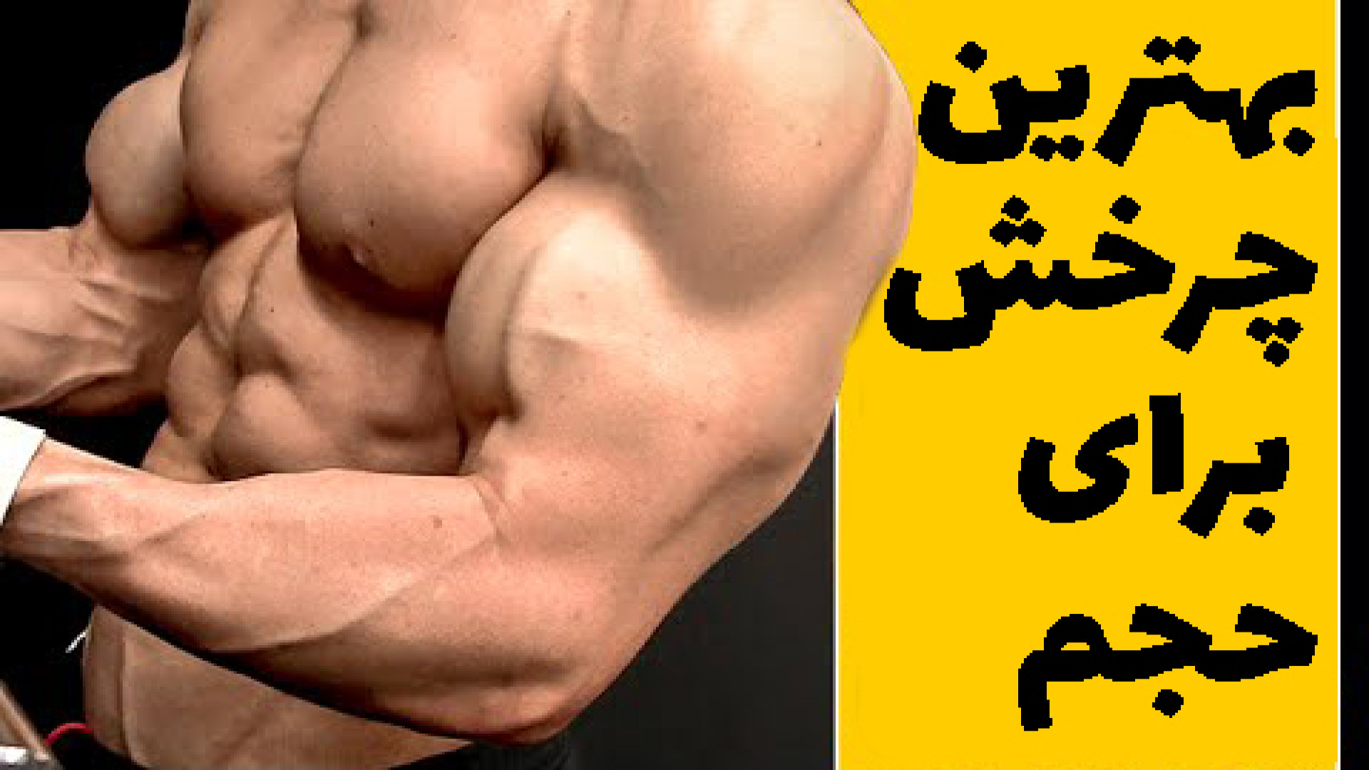 کدام چرخش برای عضله جلو بازو شما بهترین است (مهم است!!)