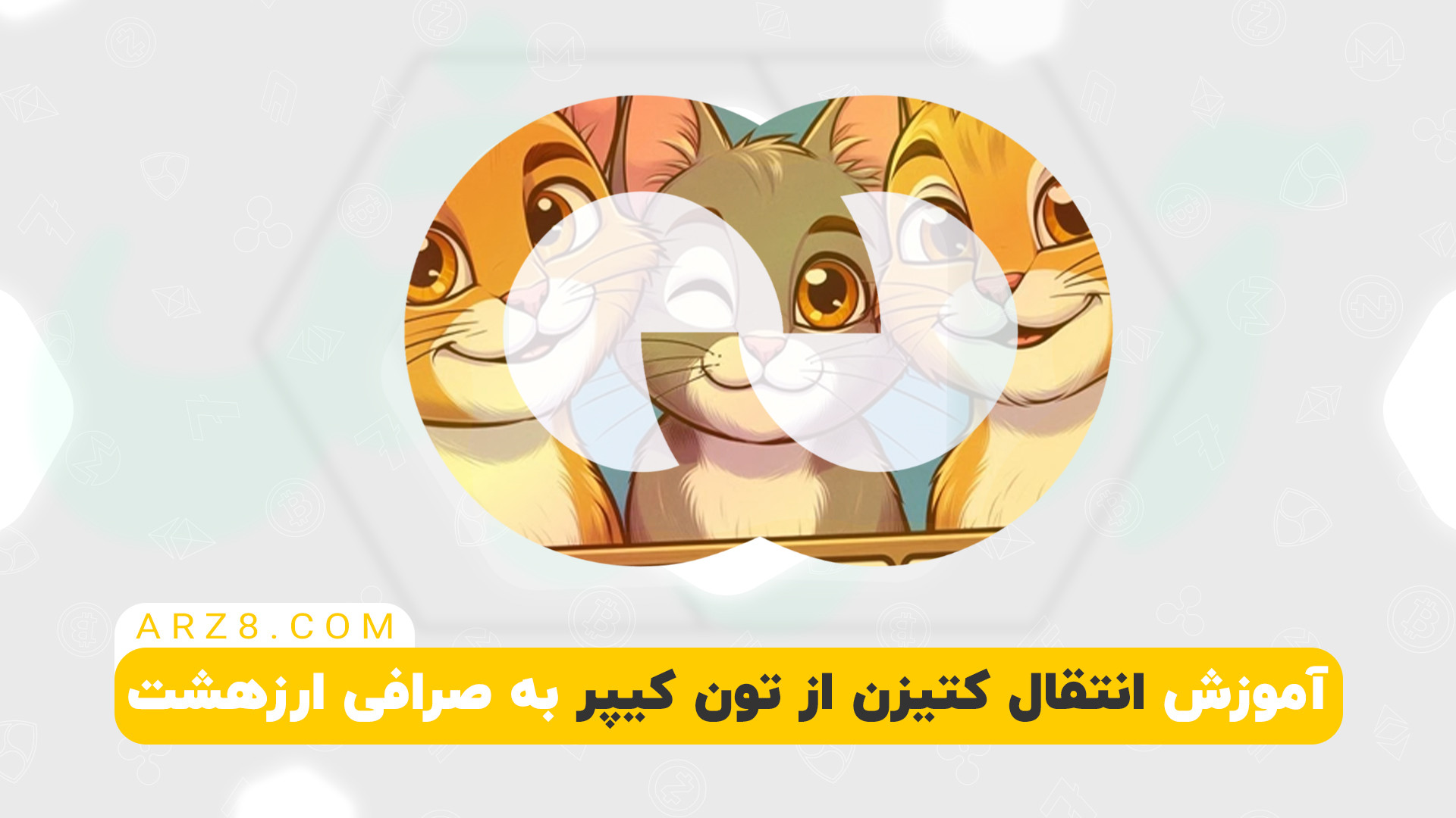 آموزش , انتقال , ارز , کتیزن , تون , کیپر , صرافی , ارزهشت