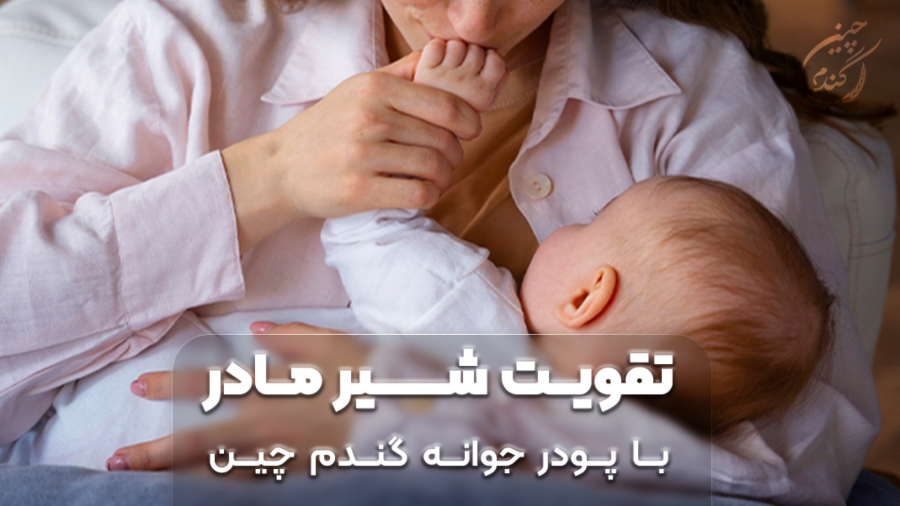 تقویت شیر مادر با گندم چین