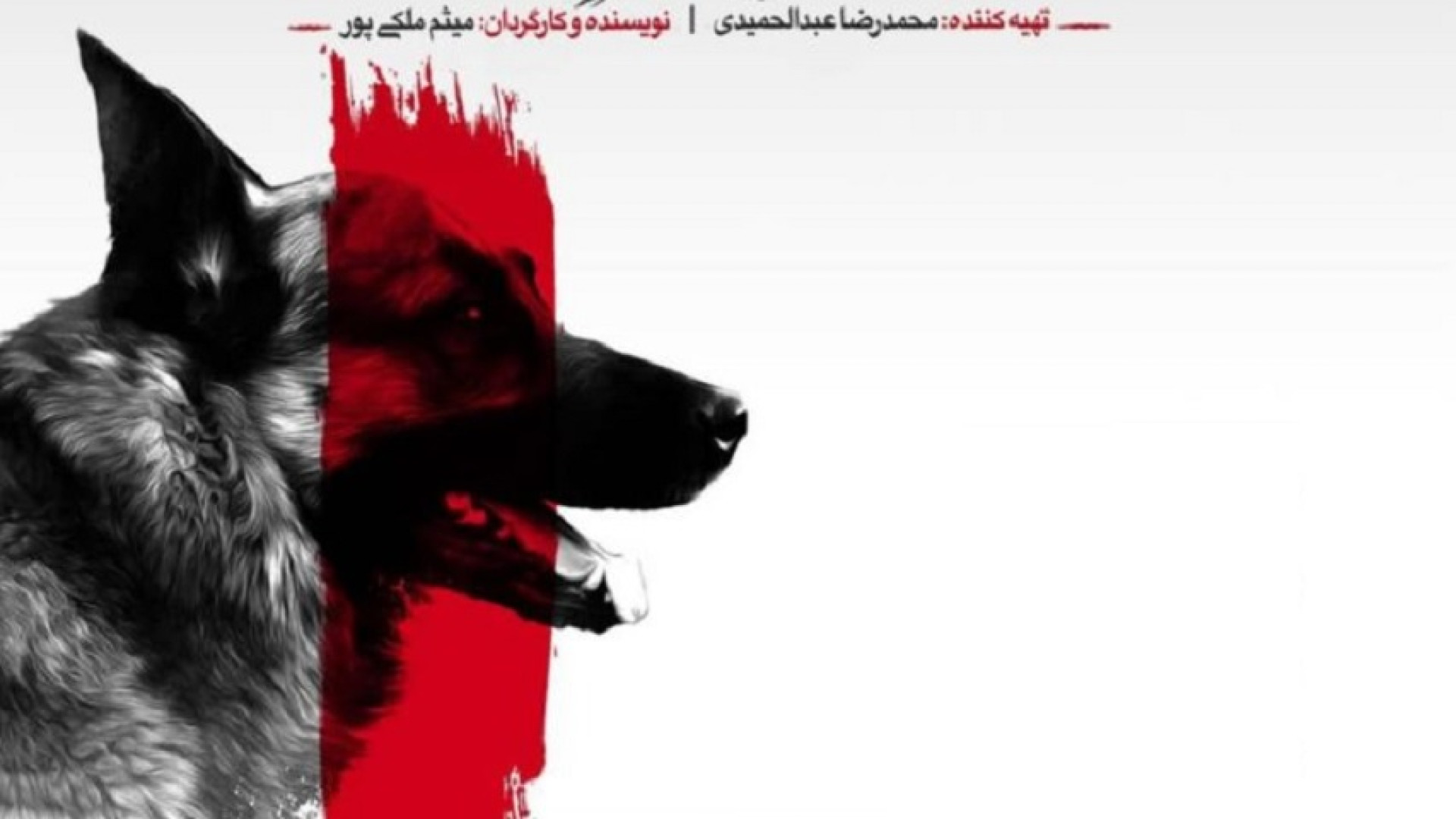 مستند دومینو - قسمت 4 آزمون آنتی‌بادی خنثی‌کننده
