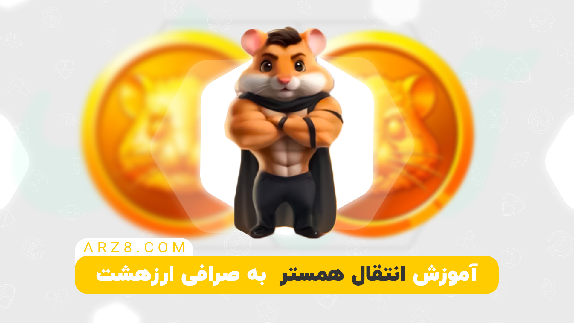 آموزش , انتقال , ارز , همستر , صرافی , ارزهشت