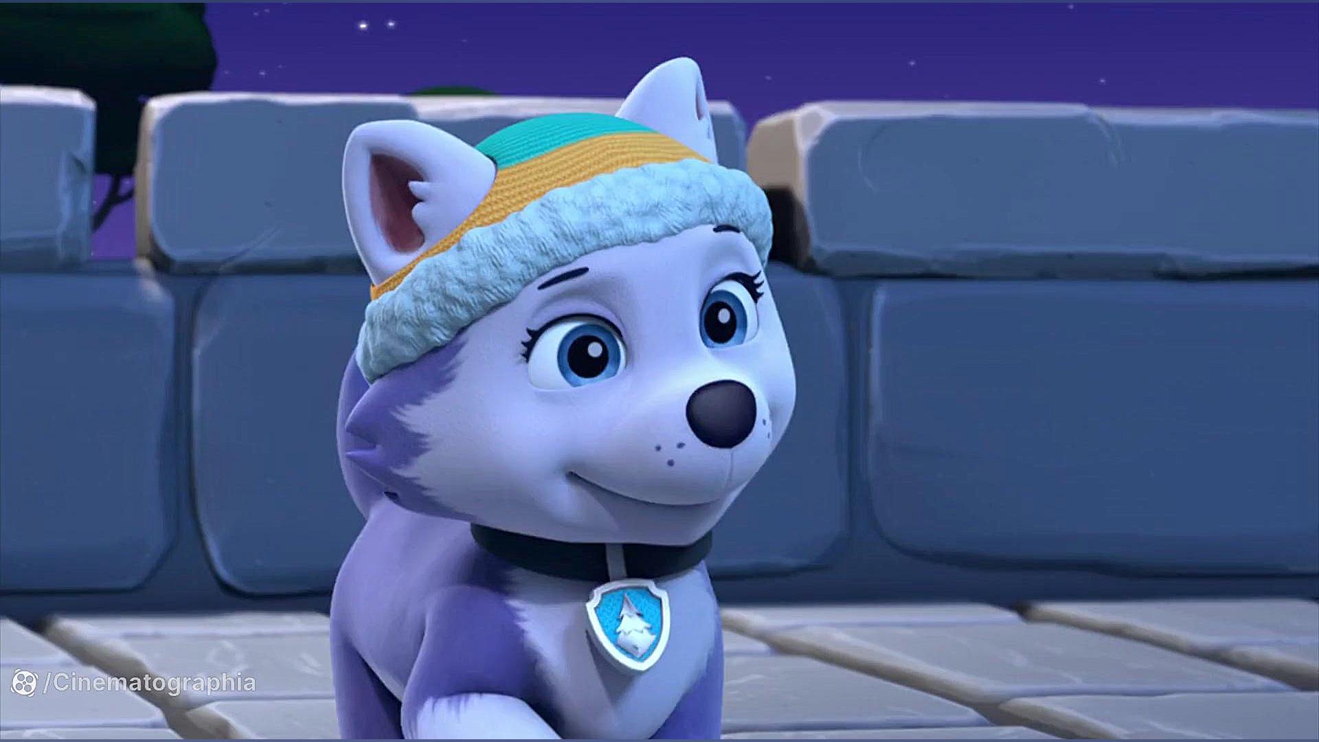 سگهای نگهبان 2 Paw Patrol: Jet to the Rescue زمان2640ثانیه