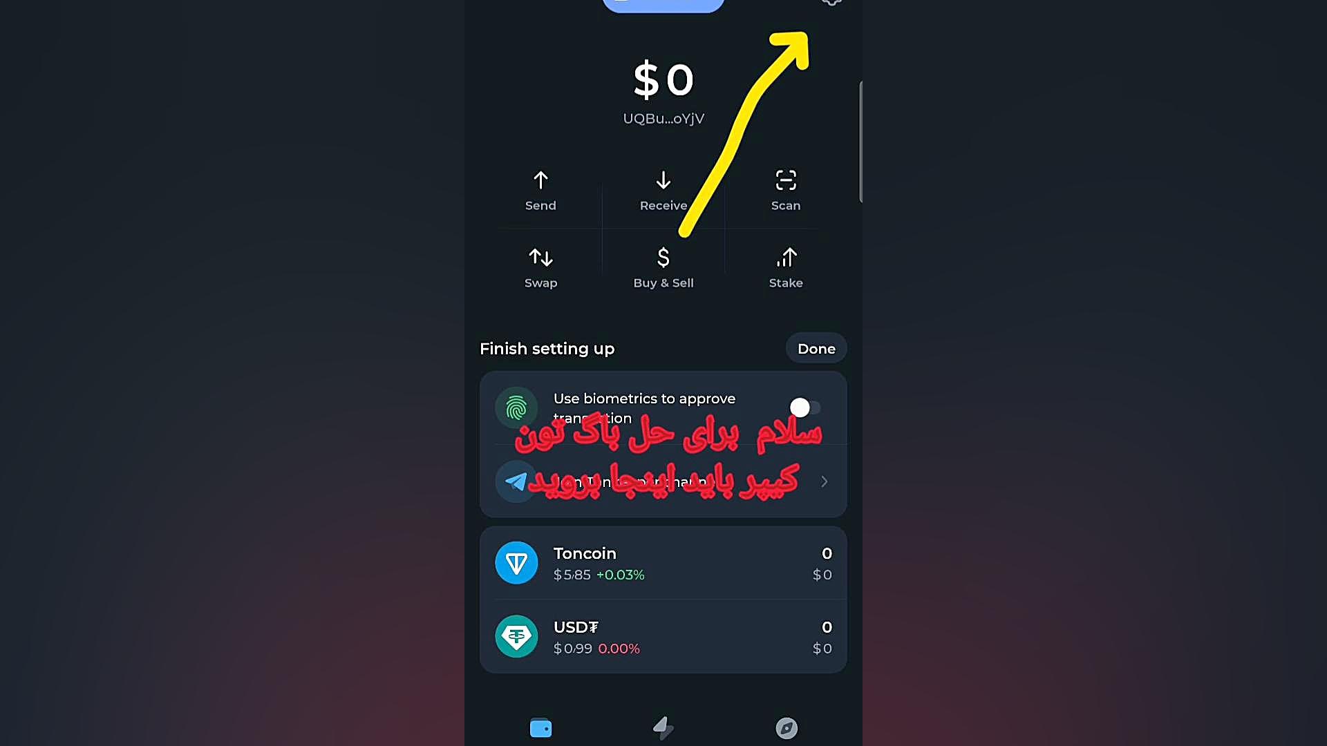 حل , مشکل , تون , کیپر , همستر , بات , تلگرام , نات , کوین , کتیزن , داگز