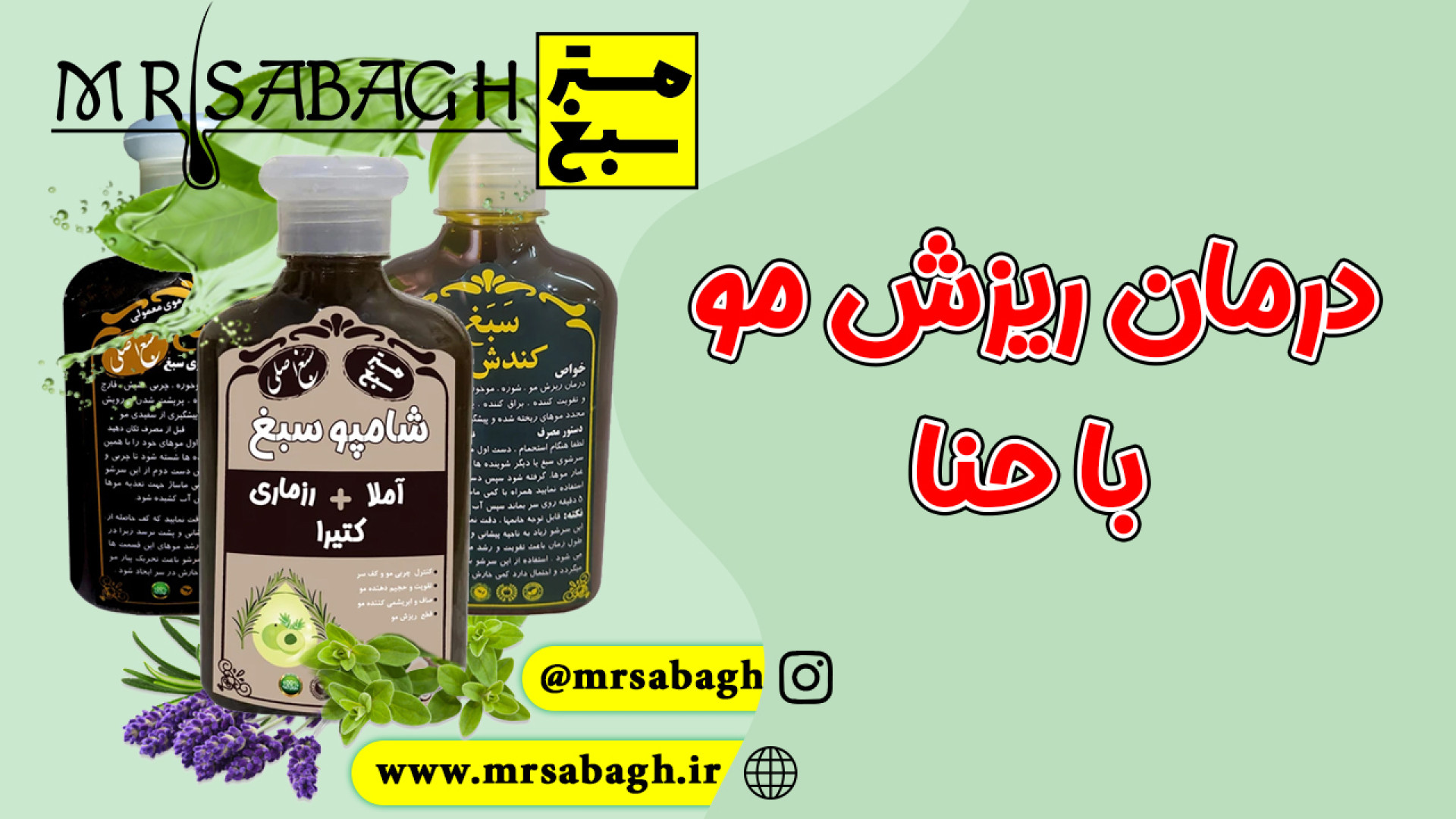 درمان ریزش مو با حنا (شامپو سبغ مستر سبغ) PRO-Seq