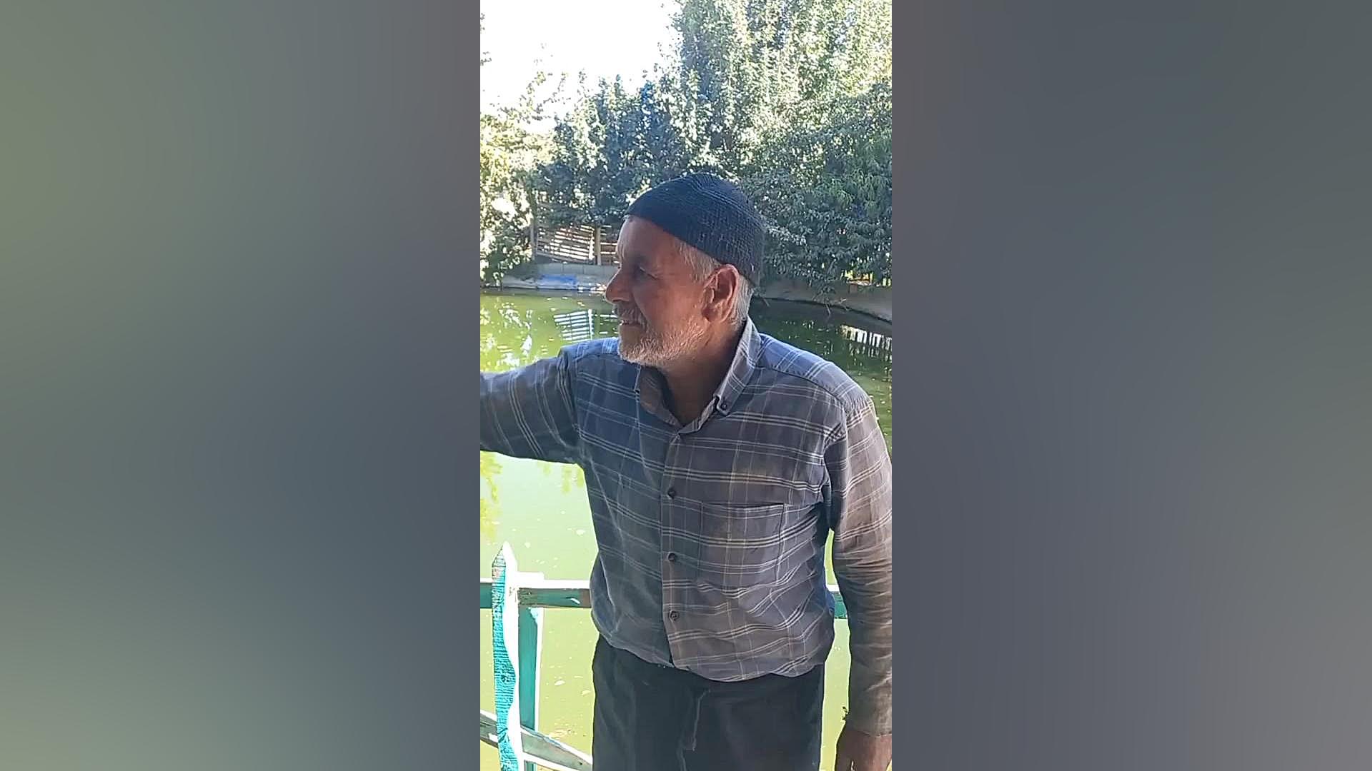 ایا لجن استخر یا بودن ماهی داخل استخر باعث انتقال بیماری به درختان میشود؟ پای پتی