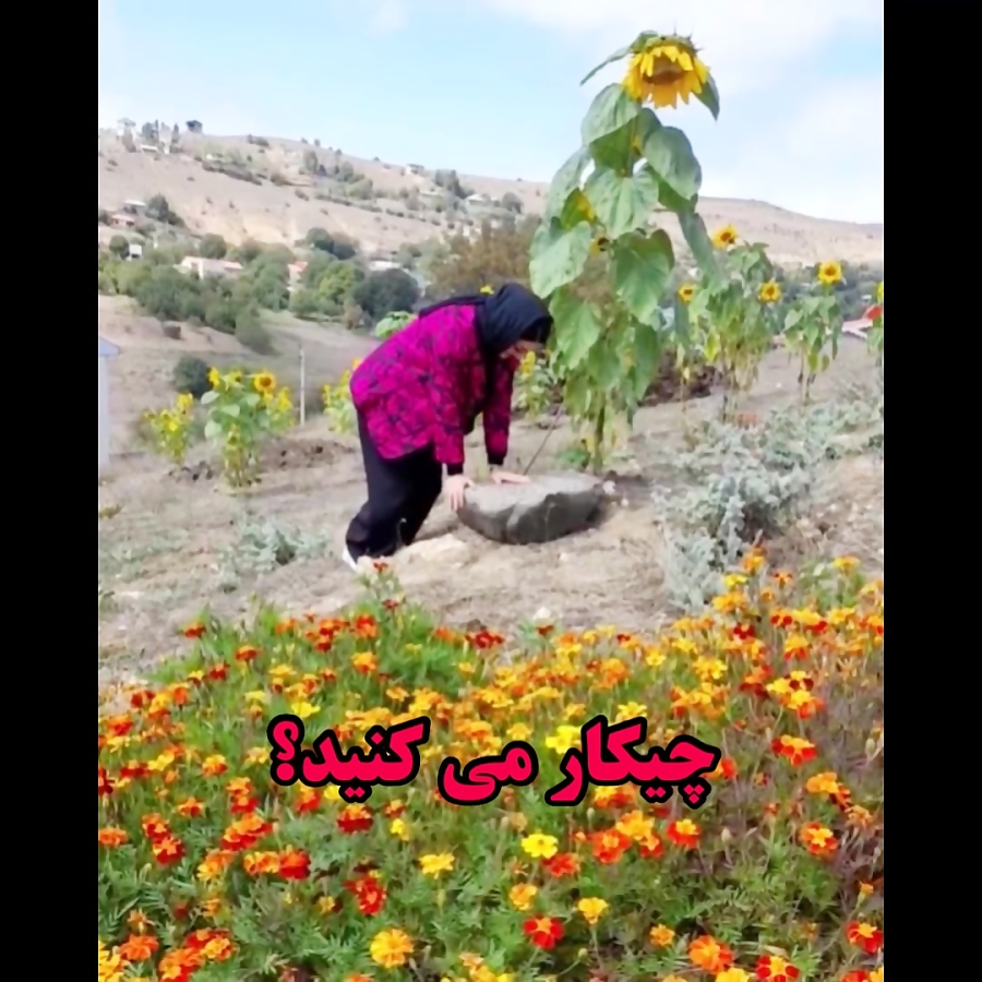 چرا هر چی تلاش میکنم نمیشه؟ چرا نمیشه؟