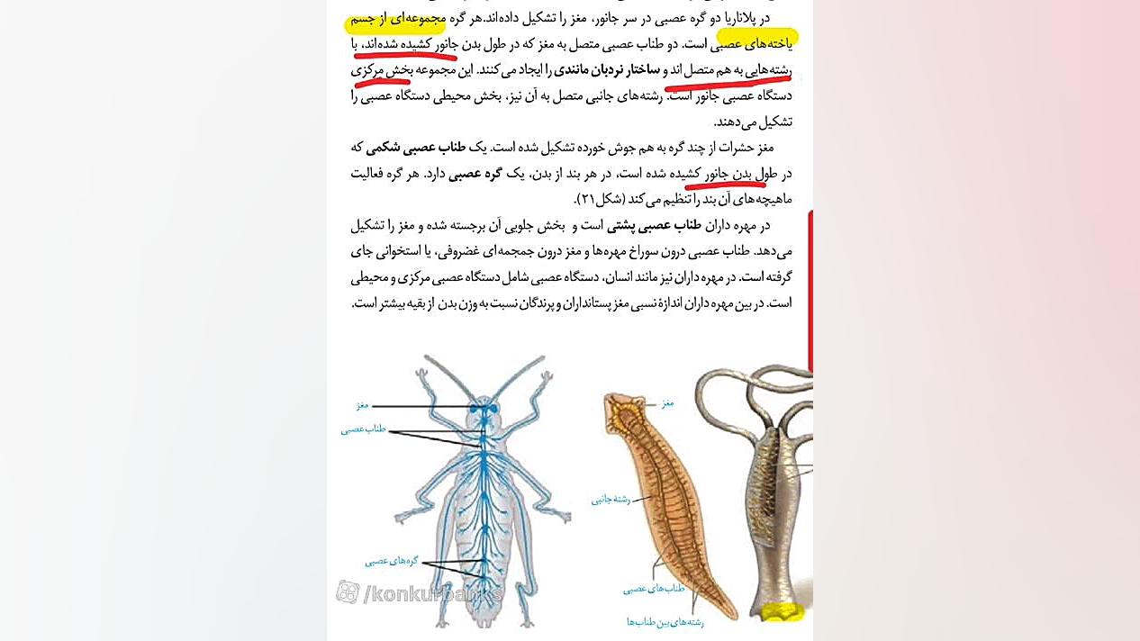 تدریس نکات جانوری آمادگی آزمون استاد بیاتی جوانسازی پوست